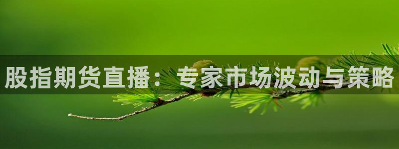 河豚直播在线看球