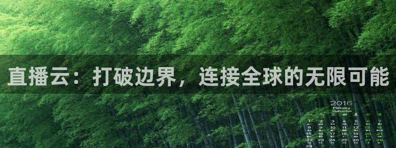 河豚nba直播：直播云：打破边界，连接全球的无限可能