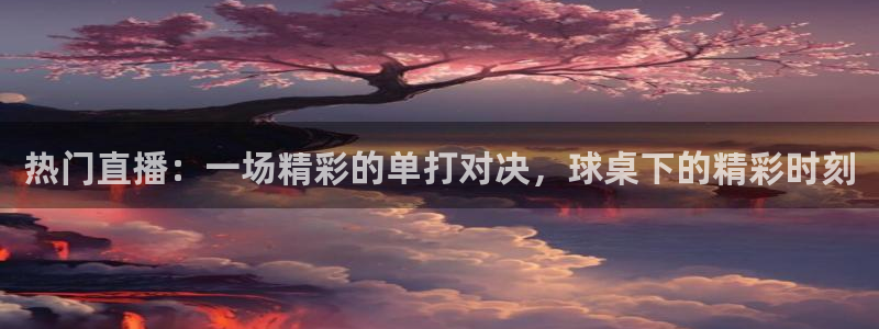 河豚体育直播在线播放