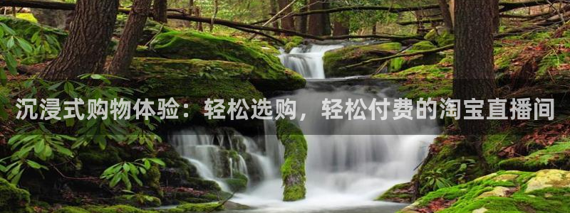河豚体育直播下载：沉浸式购物体验：轻松选购，轻松付费的淘宝直播间